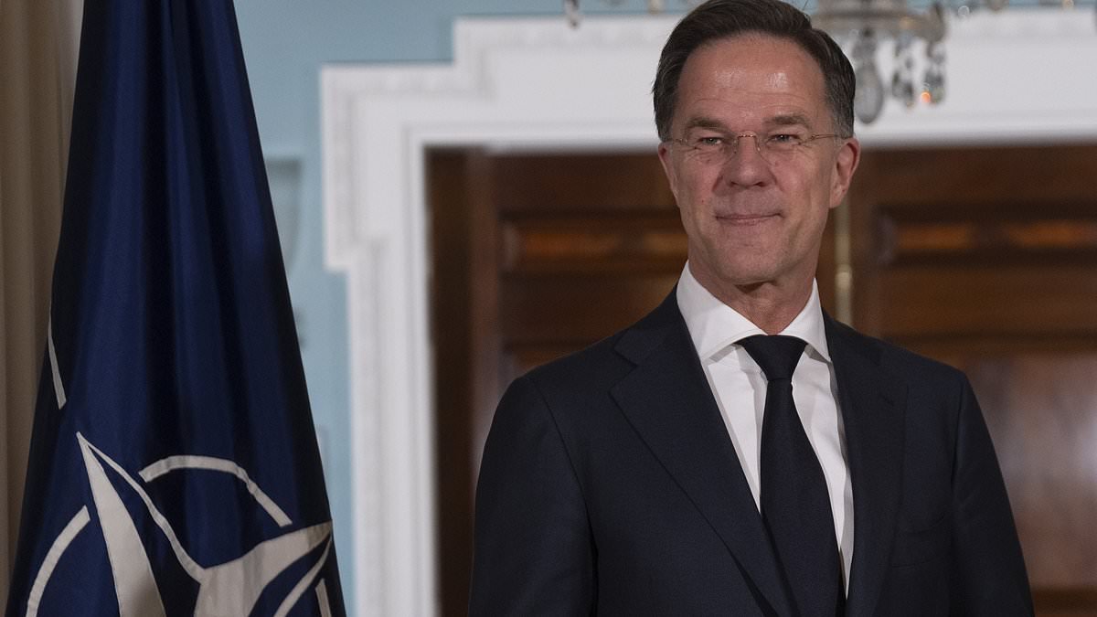 Trump trashes NATO for not 'being there when we need them' as Mark Rutte heaps praise on president after summit