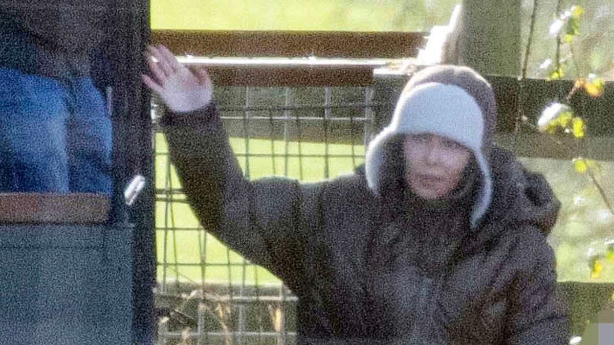 Revealed: How Cheryl gave her animal-loving son by the late One Direction star Liam Payne a safari park treat as she tried to keep a smile on his face on second Christmas without his dad