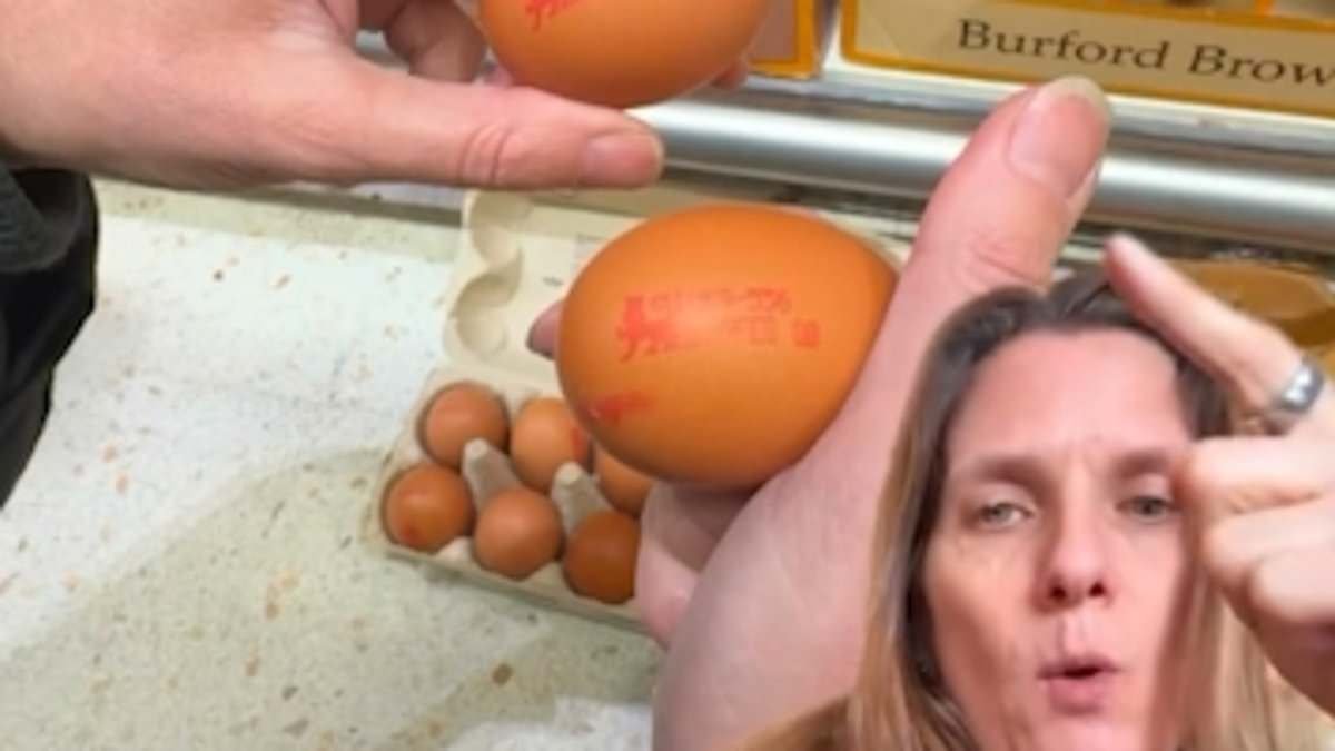 How shoplifters are pinching posh eggs by secretly popping them in cheaper boxes to avoid shelling out
