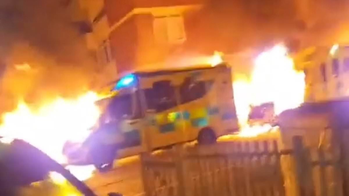 Is Tehran linked to ambulance blaze? Hunt for three firebombers who hit London service run by Jewish charity - as police warn of 'grave' threat