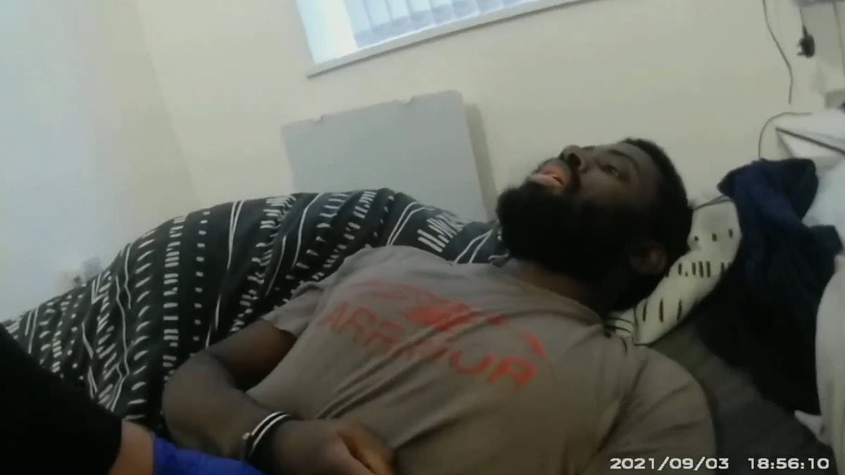 'You did good, yeah?': Chilling moment Nottingham killer congratulated police for detaining him after being Tasered in dramatic bodycam footage