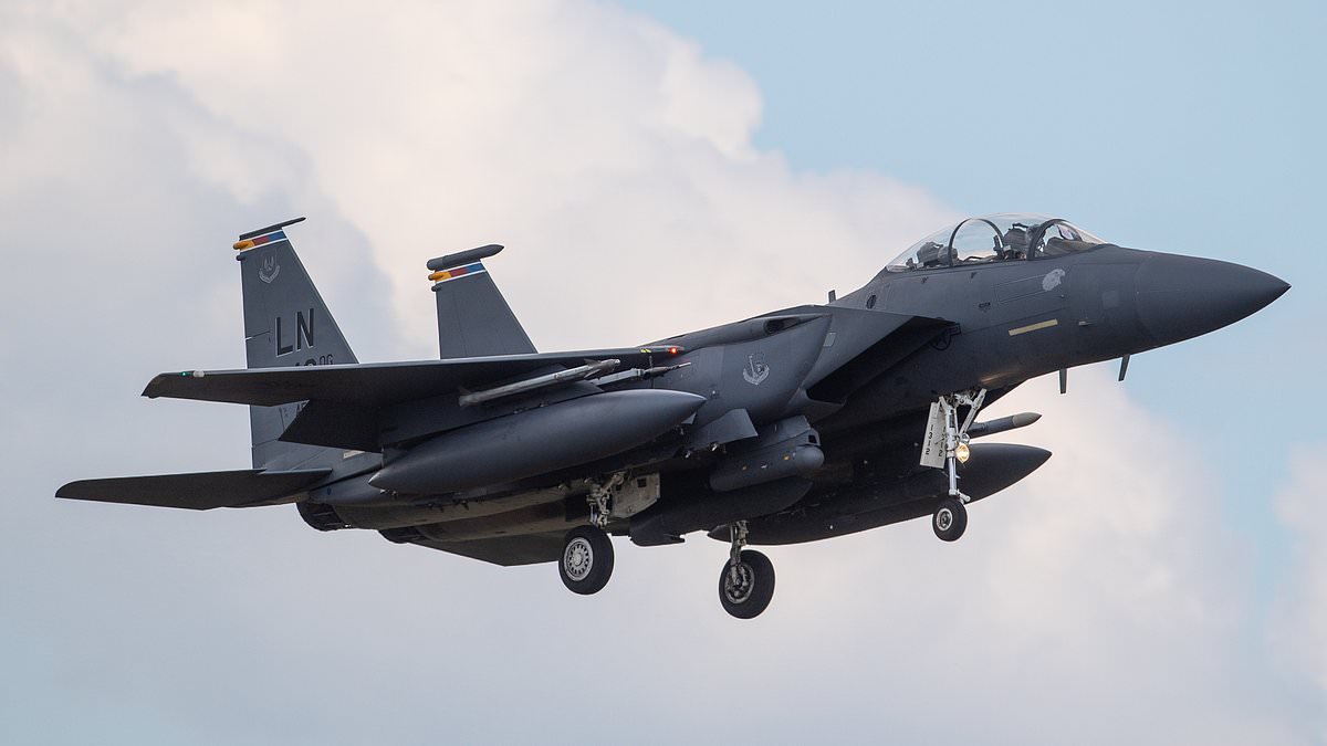 MATTHEW GOULD: As Iran offers $60,000 reward for missing pilot, this is the fearful fate that awaits any flyer caught by the Iranians