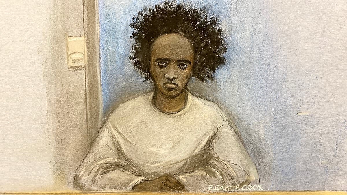 Parents of 'sadistic' teen who carried out Southport massacre need to be jailed for failing to stop his murder spree, urges victims' lawyer