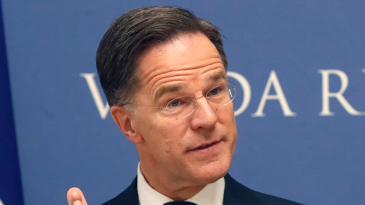 NATO chief says the Arctic is now 'a priority' after Trump said 'we'll have Greenland one way or another'