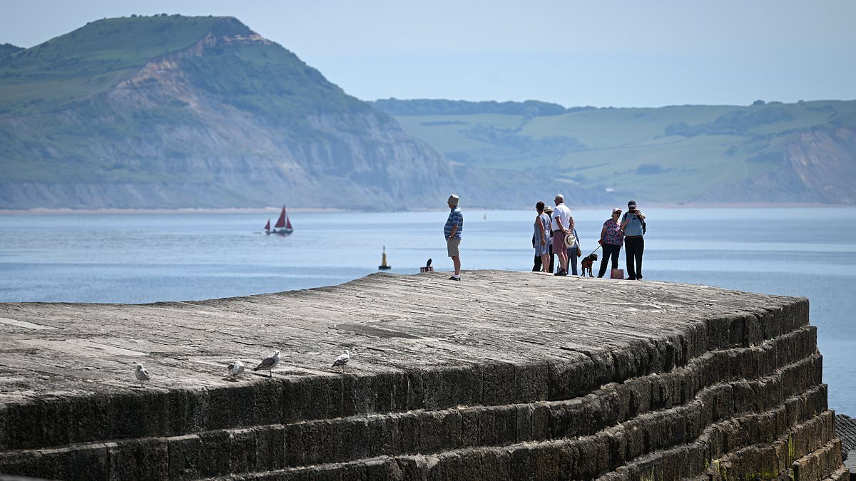 Pensioner dies after slipping off harbour wall and into the sea in front of his wife