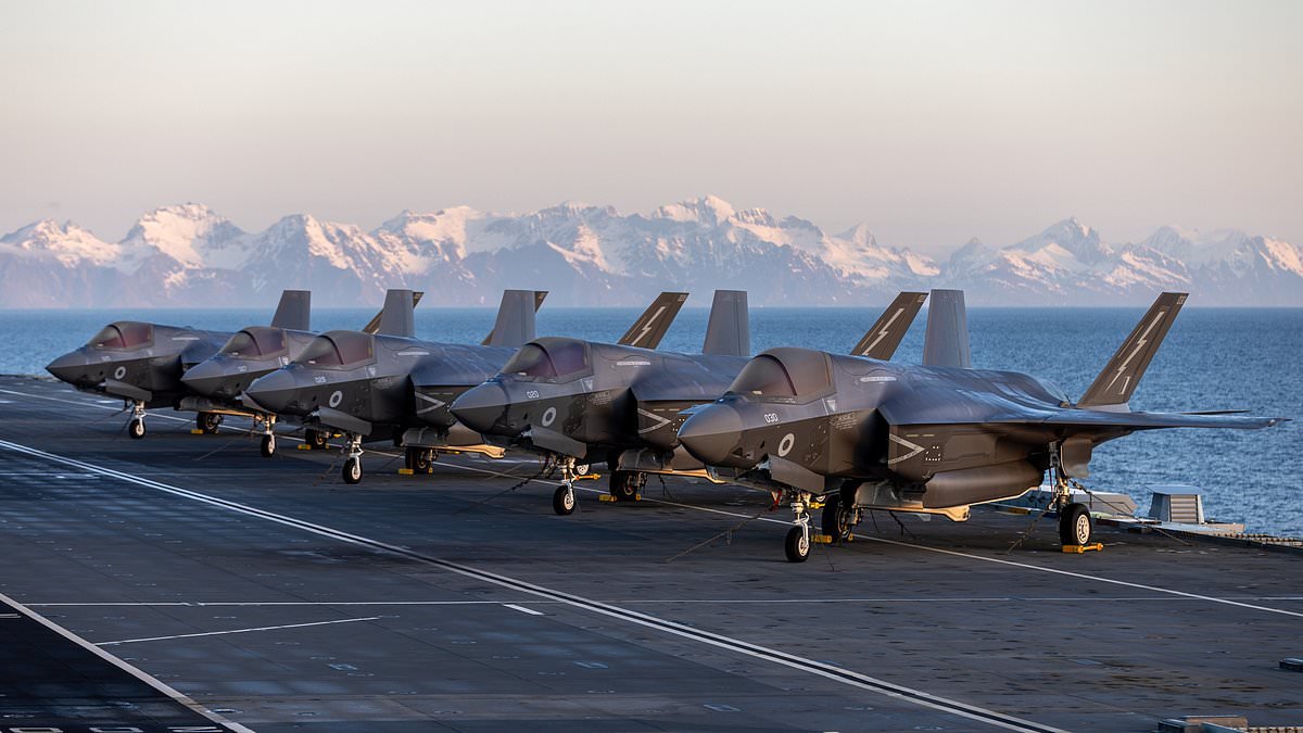 The RAF will struggle to operate in the freezing Arctic, military chief admits as UK shifts focus to the region to appease Trump