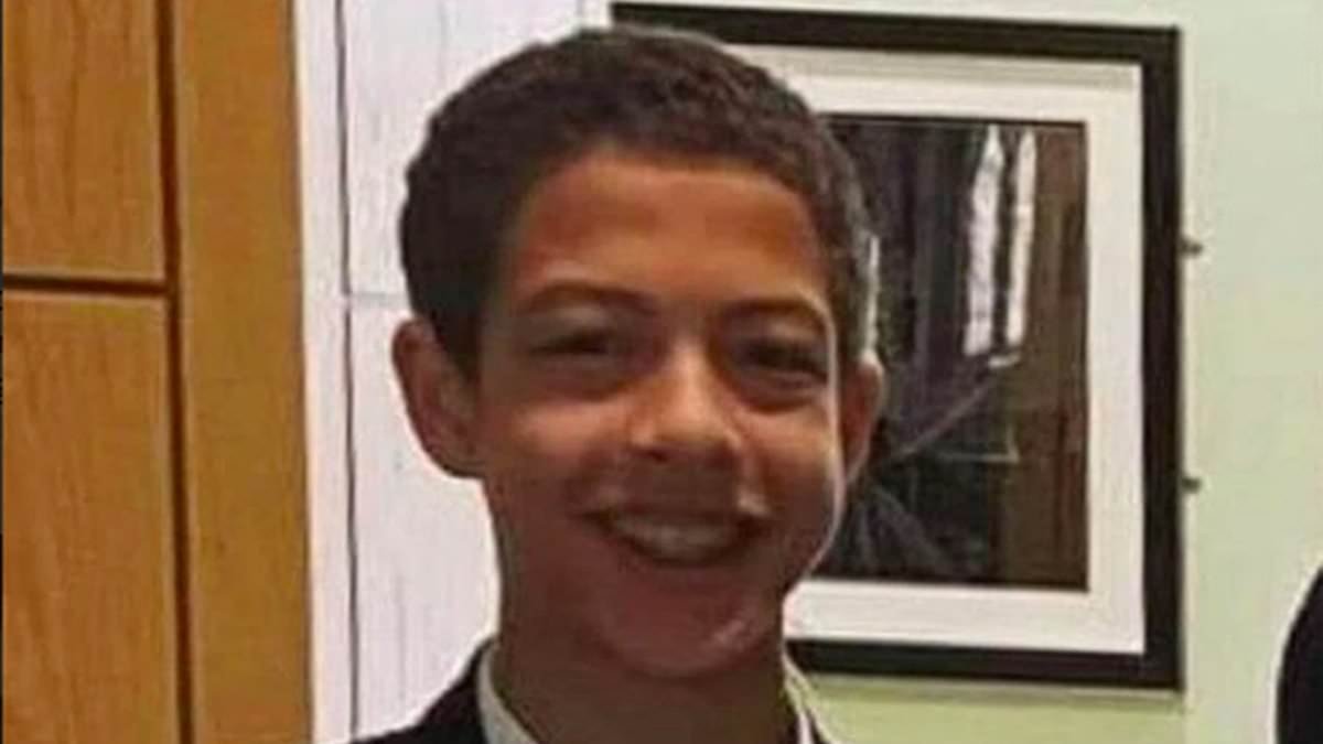 Schoolboy, 14, found dead in storm drain six days after going missing 'never had any interest in storm drains or the underground', inquest hears
