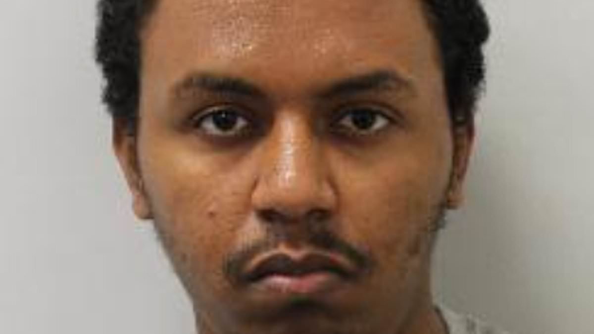 Husband of grandmother stabbed to death at a bus stop by mentally ill man says 'her absence has left silence that nothing can fill' as he criticises NHS