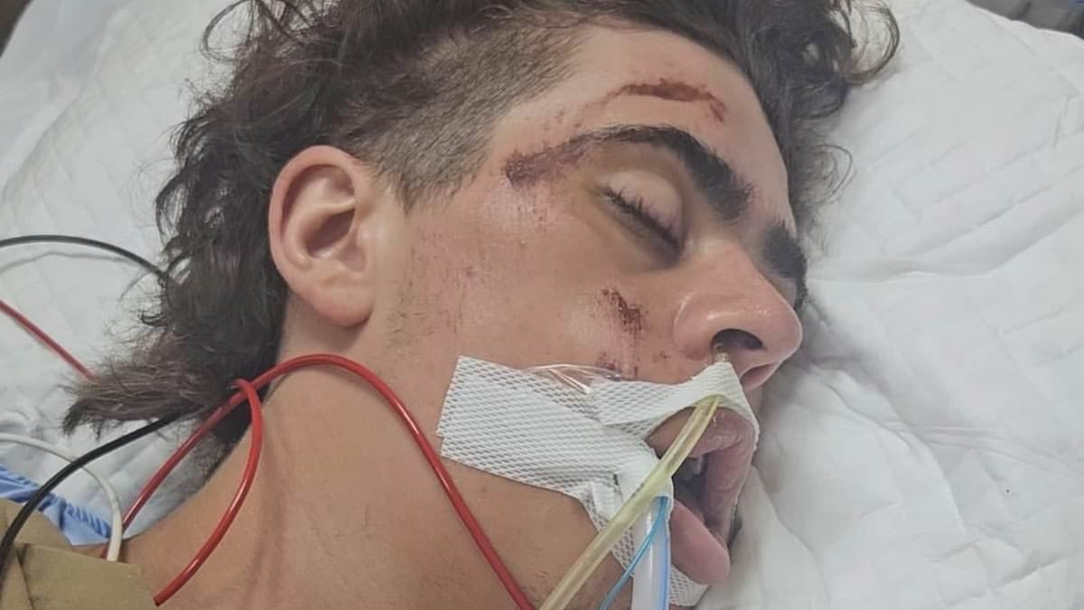Family's urgent plea for help to fly home young British man critically injured in Thai road accident