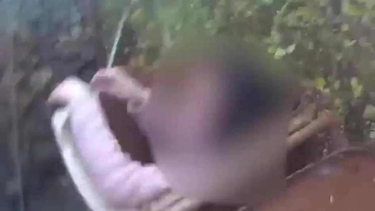 Rubbish shoplifter! Moment officer uncovers thief hiding in a wheelie bin