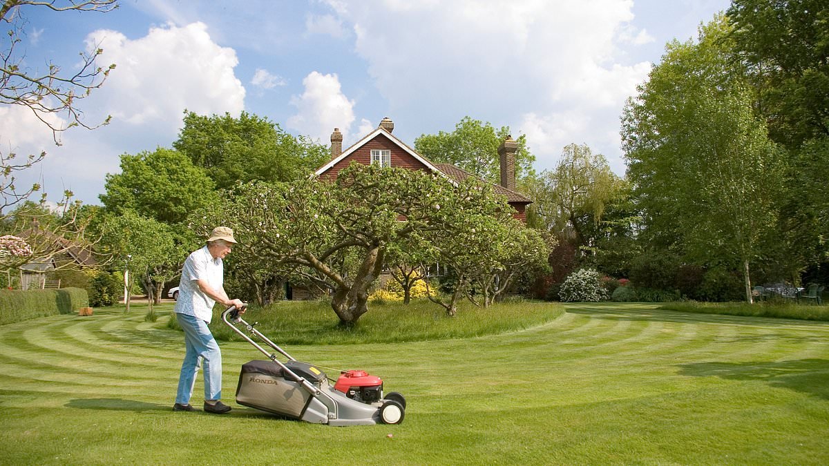 Rise of the 'unretirees': One pensioner in six is now heading back to the workplace