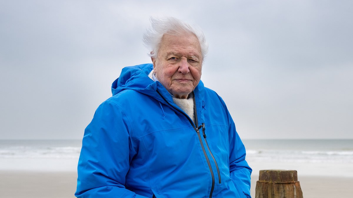 Sir David Attenborough says 'I'm not afraid of death, I'm afraid of not living enough' as he prepares to celebrate his 100th birthday