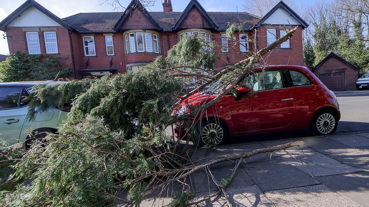 Thousands of homes left without power as disruption caused by Storm Dave continues