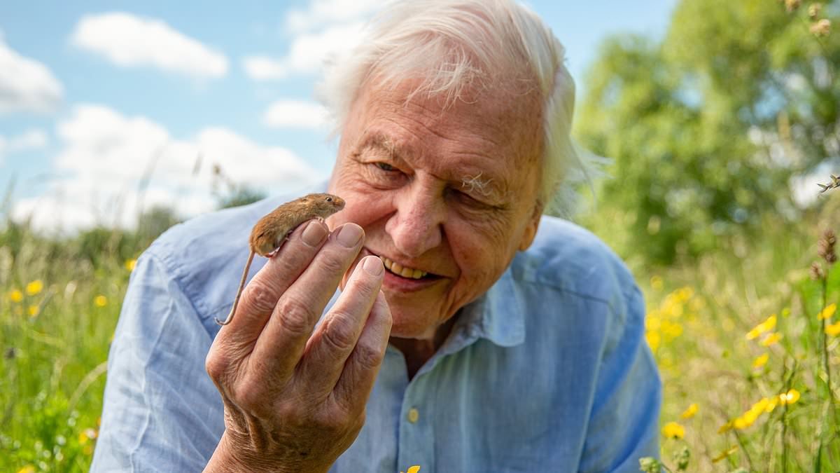 BBC viewers rave over 'spellbinding' new David Attenborough documentary hailed as 'perfect Easter viewing' and 'food for the soul'