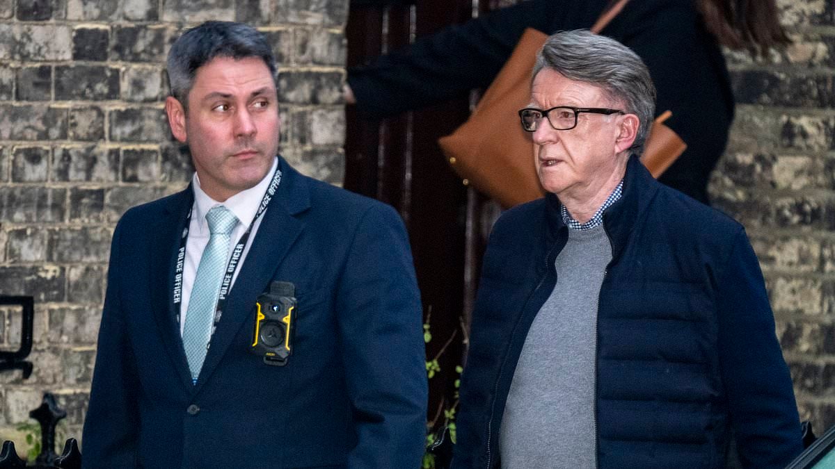Mandelson is released from custody after being quizzed by Scotland Yard's elite 'Celeb Squad': Questions over what prompted 'unusual' 4.30pm arrest at disgraced Lord's £7m home 17 days after his properties were searched over links to Epstein