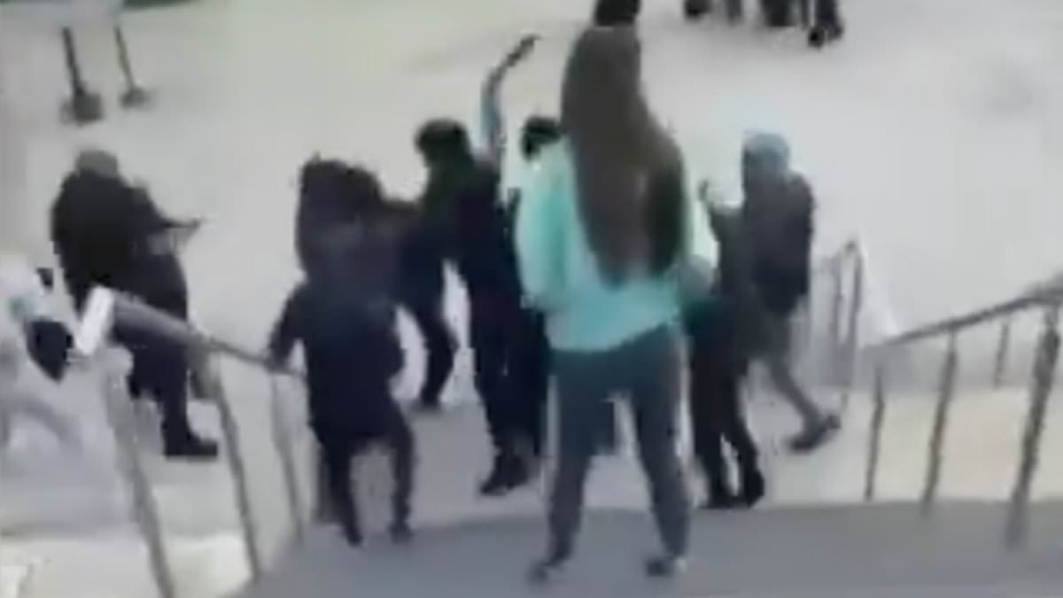 Moment boy is attacked by teenager with a machete as mob of feral youths run riot outside John Lewis in Liverpool shopping centre