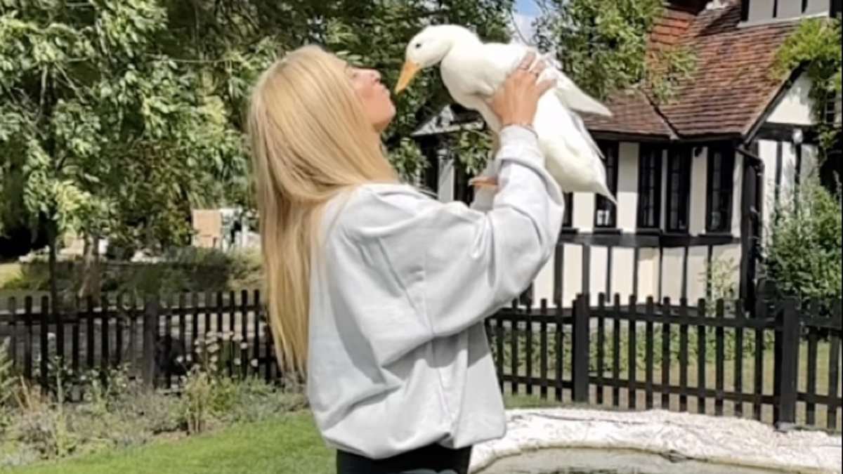 Why a pet duck has become the must-have animal accessory for the rich and famous