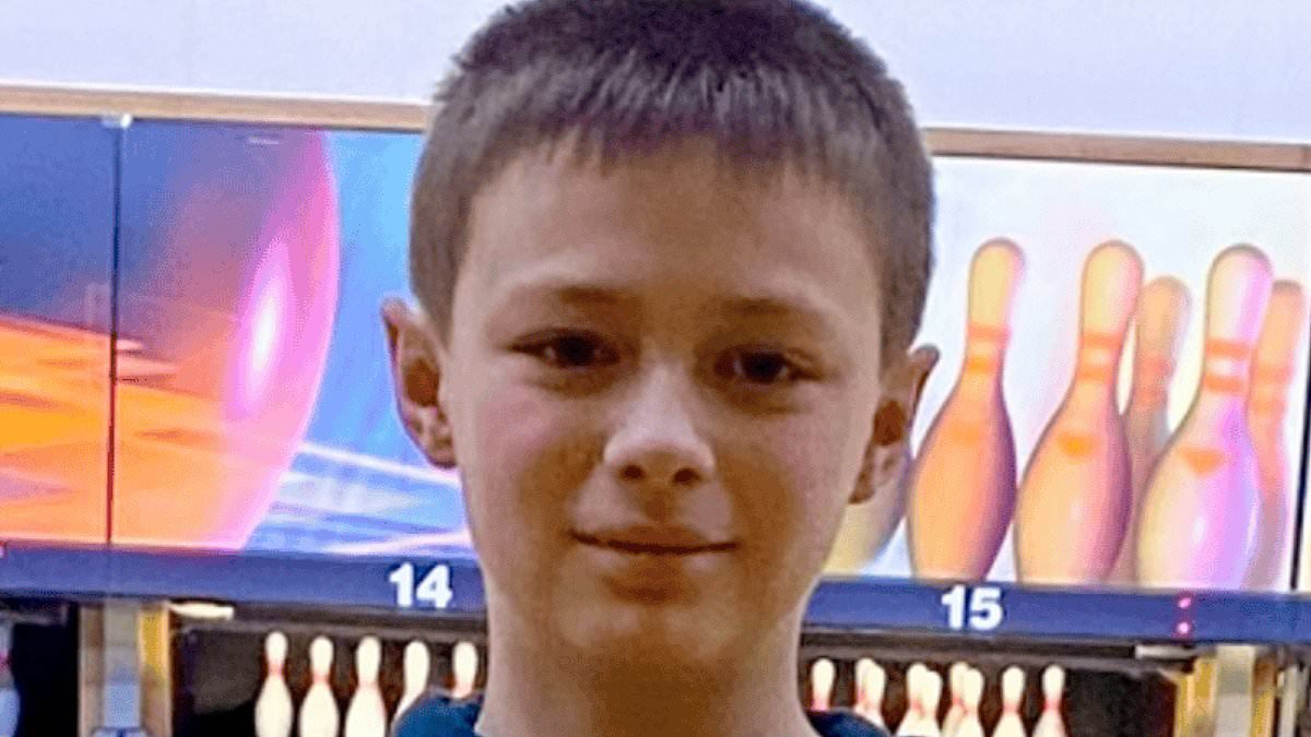 Teenager, 15, pleads guilty to murdering schoolboy whom he stabbed to death at random before he chillingly pretended to help by posing as an innocent bystander