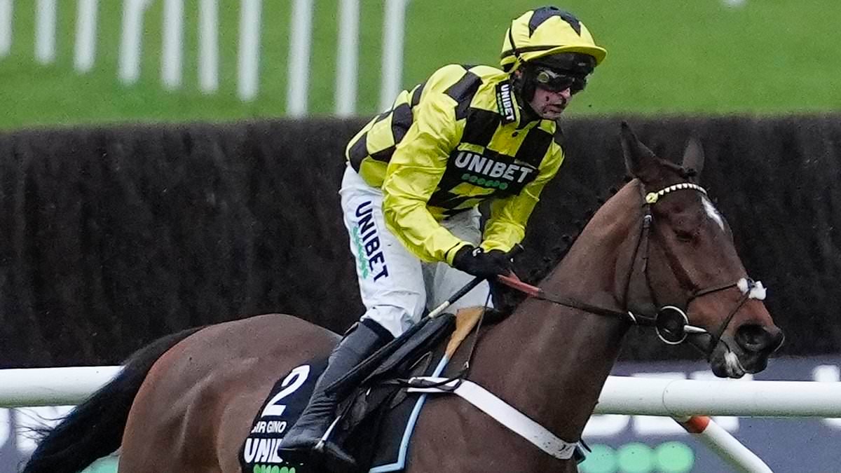 Cheltenham favourite Sir Gino rushed to equine hospital to see if vets can save his life after his leg went limp mid-race