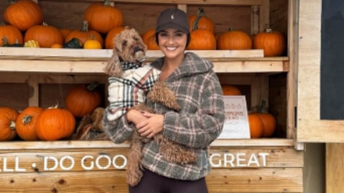 Is your dog 'new money'? Etiquette expert reveals the eight breeds the nouveau riche are buying to show off on Instagram - and even the late Queen's beloved corgis aren't safe