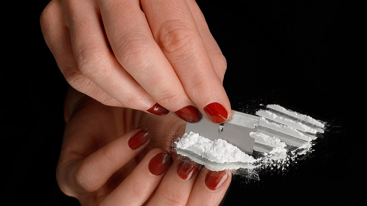 The cocaine mums' new habit has shocked even me. I thought I'd seen it all - but what happened at a posh children's party was so disturbing, I can't shake it: JANA HOCKING